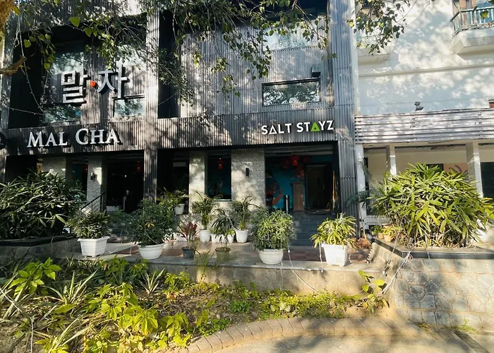 Saltstayz Select - Malcha & Chankyapuri New Delhi